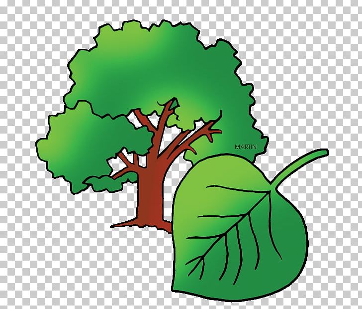 Cottonwood Plant Cell Populus Sect. Aigeiros PNG, Clipart, Arizona, Artwork, Computer Icons, Cottonwood, Fictional Character Free PNG Download