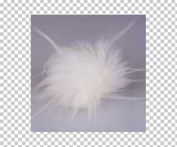 Feather PNG, Clipart, Animals, Feather, Fur, Mayflower Free PNG Download