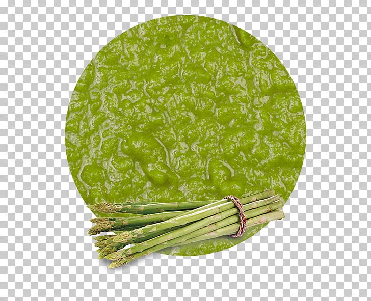 Leaf Vegetable Purée Asparagus Manufacturing PNG, Clipart, Asparagus, Asparagus Falcatus, Discover Card, Food Drinks, Fruit Free PNG Download