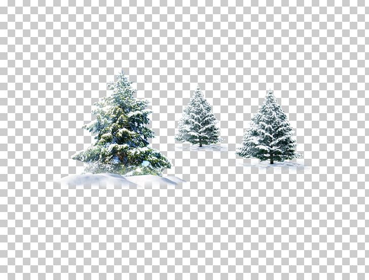 Pine Snow Desktop Winter PNG, Clipart, 1080p, Christmas Decoration, Christmas Frame, Christmas Lights, Color Free PNG Download