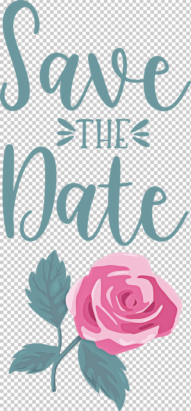 Save The Date Wedding PNG, Clipart, Floral Design, Meter, Petal, Rose, Rose Family Free PNG Download