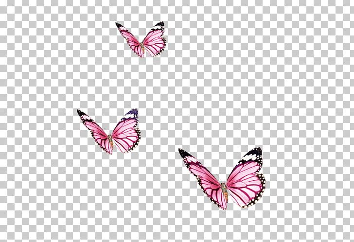 Butterfly Color Insect PNG, Clipart, Blue, Brush Footed Butterfly, Butterflies And Moths, Butterfly, Color Free PNG Download
