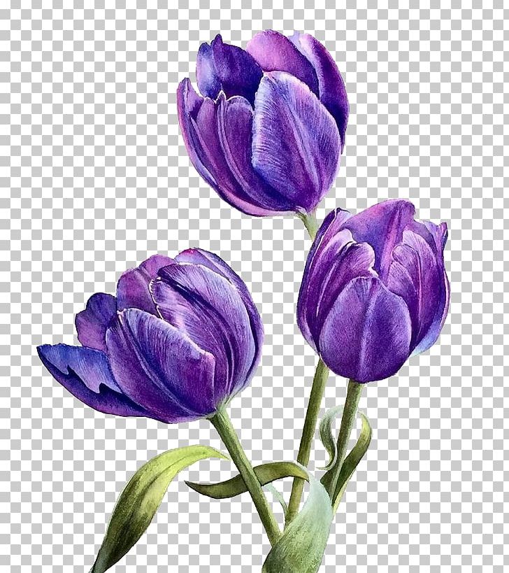 purple cartoon flower