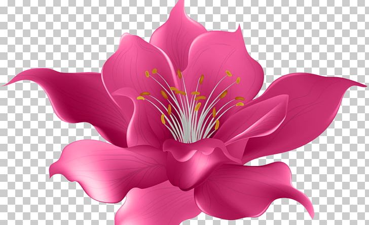 Art Desktop PNG, Clipart, Alstroemeriaceae, Art, Blog, Desktop Wallpaper, Drawing Free PNG Download