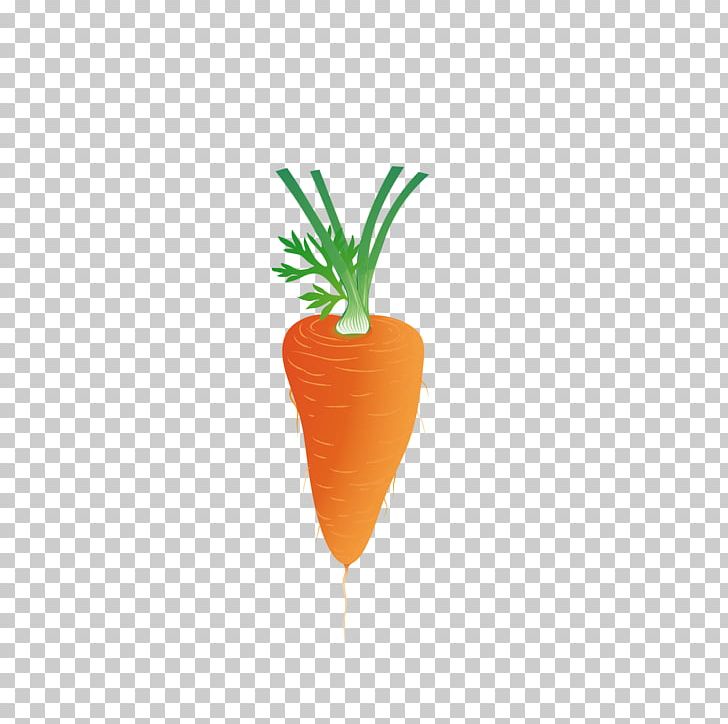 Carrot Euclidean PNG, Clipart, Carrots, Carrot Vector, Download, Euclidean Vector, Food Free PNG Download