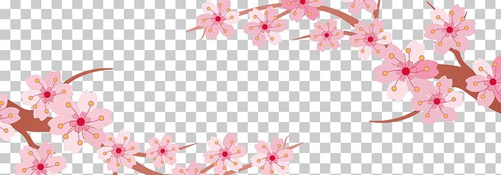 Cherry Blossom Banner PNG, Clipart, Blossom, Blossoms, Blossoms Vector, Branch, Cherry Free PNG Download
