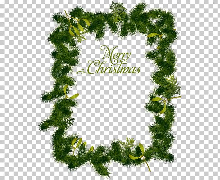 Christmas Tree Frames PNG, Clipart, Branch, Christmas, Christmas Decoration, Christmas Ornament, Christmas Tree Free PNG Download