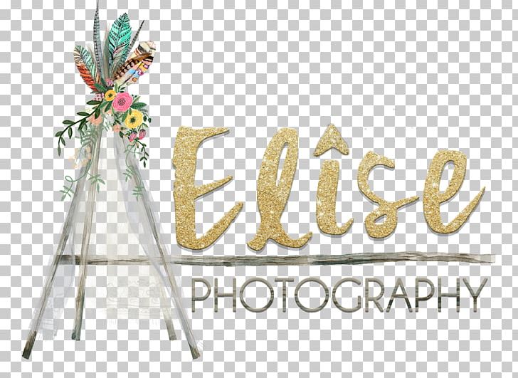 Logo Tipi Photography Brand Font PNG, Clipart, Brand, Child, Family, Family Portrait, Font Free PNG Download