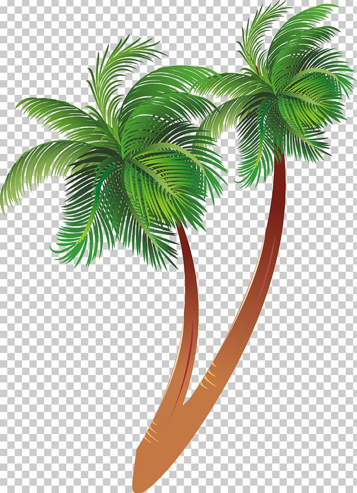 Arecaceae Tree PNG, Clipart, Arecaceae, Arecales, Clip Art, Coconut, Computer Graphics Free PNG Download