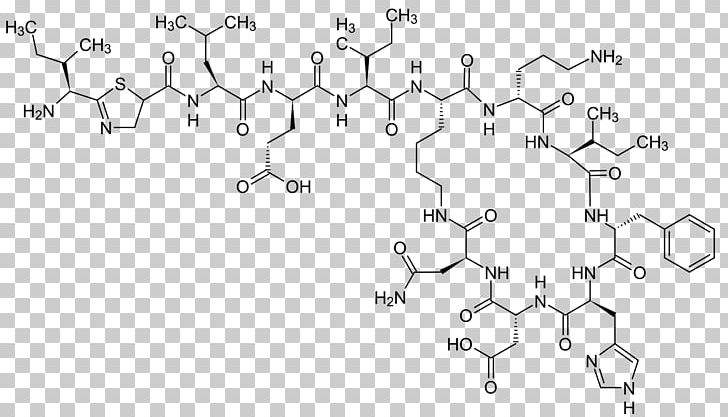 Bacitracin Cyclic Peptide Structure Cyclosporine PNG, Clipart, 26 August, Amino Acid, Angle, Area, Author Free PNG Download