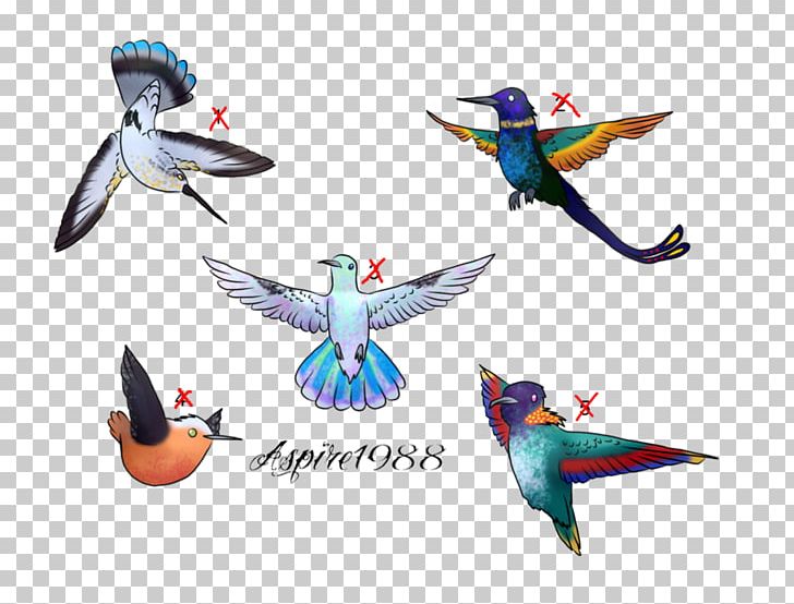 Macaw Parakeet Feather PNG, Clipart, Animals, Beak, Bird, Common Pet Parakeet, Fauna Free PNG Download
