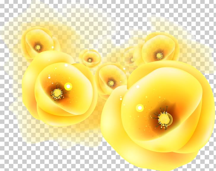 Yellow Photography PNG, Clipart, Author, Chrysanthemum, Color, Fleur, Flower Free PNG Download