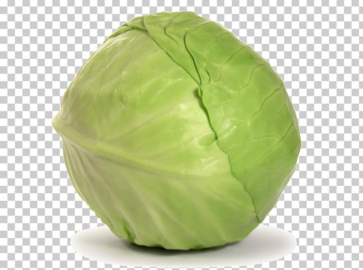 Cabbage Leaf Vegetable Torshi Green PNG, Clipart, Bell Pepper, Black Pepper, Cabbage, Cauliflower, Collard Greens Free PNG Download