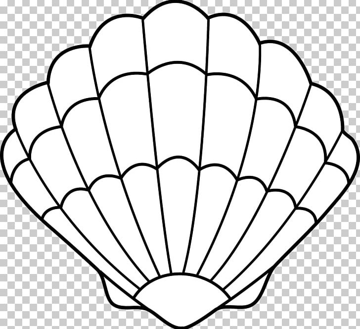 Clam Seashell Drawing PNG, Clipart, Angle, Area, Ariel, Ariel Outline Cliparts, Black And White Free PNG Download