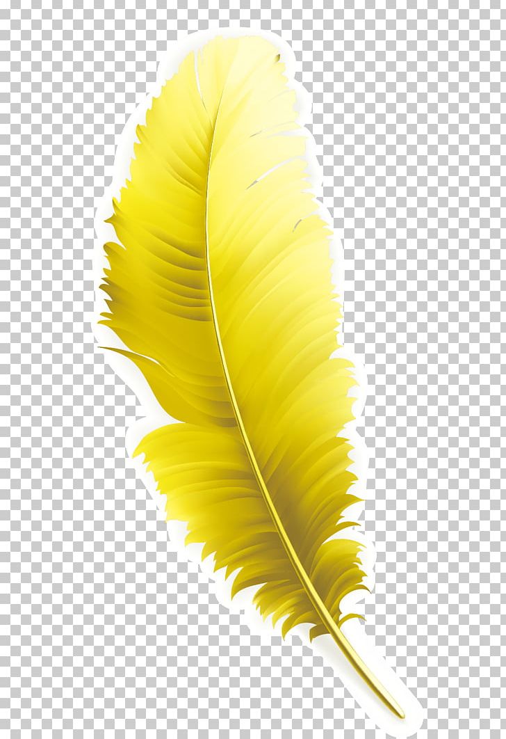 Feather Yellow Computer File PNG, Clipart, Animals, Download, Encapsulated Postscript, Euclidean Vector, Feathers Free PNG Download