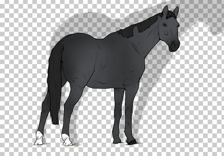 Mane Mustang Stallion Foal Mare PNG, Clipart,  Free PNG Download