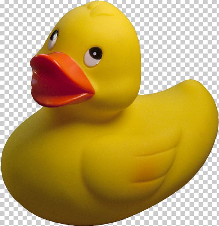 Rubber Duck PNG, Clipart, Rubber Duck Free PNG Download