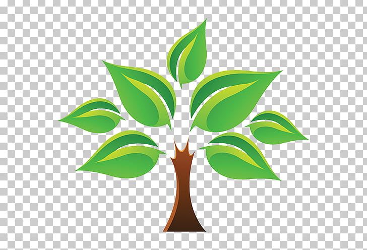 Tree Of Life Stock Photography PNG, Clipart, Art, Branch, Flower, Flowerpot, Leaf Free PNG Download