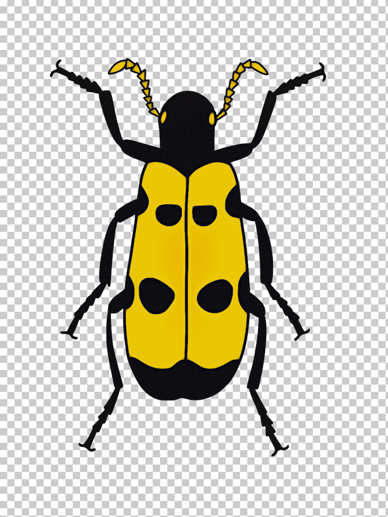 Ladybird Beetle Beetles Drawing Line Art Cartoon PNG, Clipart, Beetles, Cartoon, Drawing, Insect, Ladybird Beetle Free PNG Download