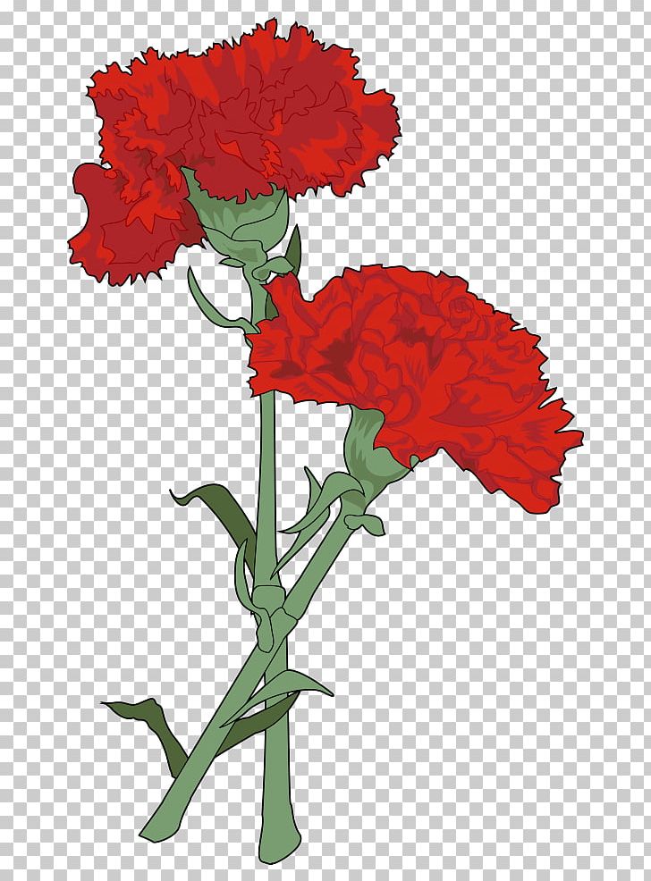 Carnation Drawing Watercolor Painting Cut Flowers Png Clipart Carnation Carnations Color Coloring Book Cut Flowers Free