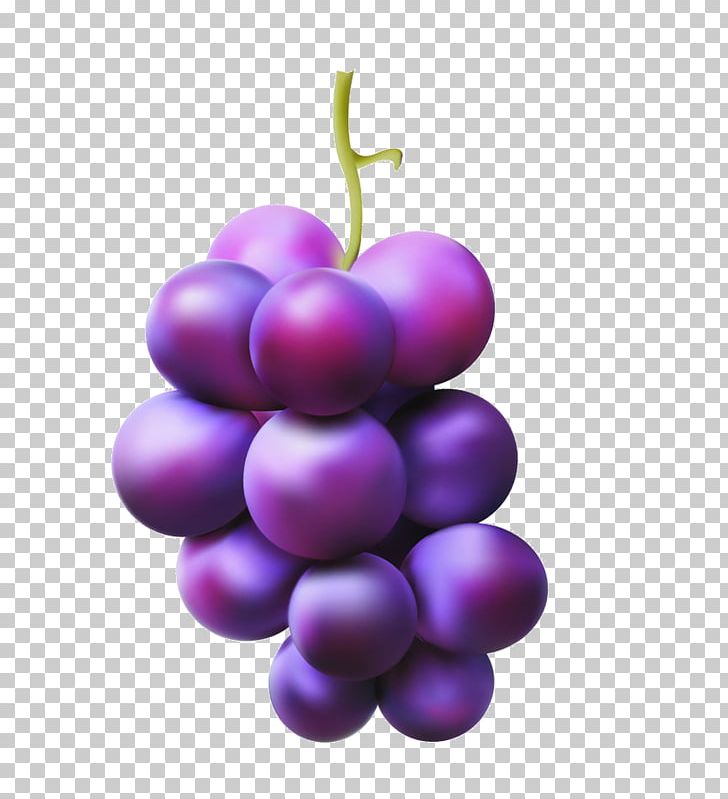 Common Grape Vine Grape Juice PNG, Clipart, Common Grape Vine, Food, Fruit, Fruit Nut, Grape Free PNG Download