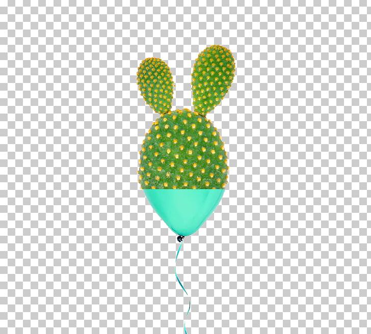 Barbary Fig Cactaceae Green PNG, Clipart, Air Balloon, Balloon, Balloon Cartoon, Balloons, Barbary Fig Free PNG Download