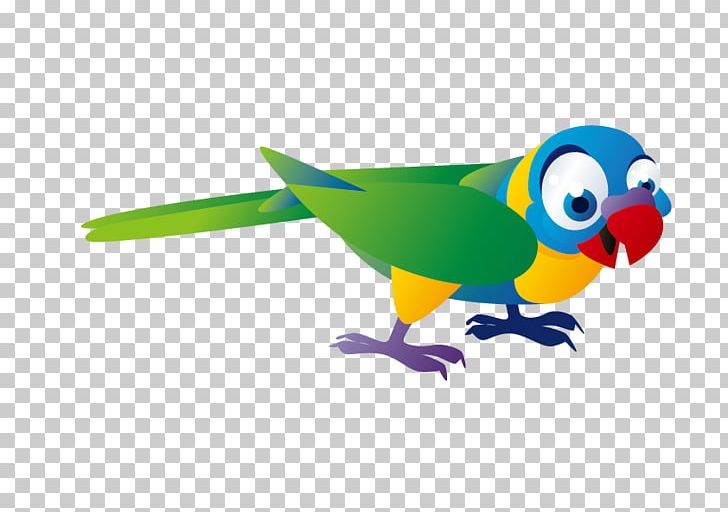 Bird Monk Parakeet Cuento Infantil Bxe1seu0148 Childhood PNG, Clipart, Animals, Beak, Book, Child, Common Pet Parakeet Free PNG Download