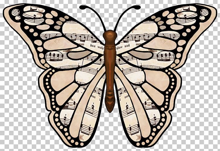 Butterfly Drawing PNG, Clipart, Art, Arthropod, Artwork, Black And White, Brush Footed Butterfly Free PNG Download