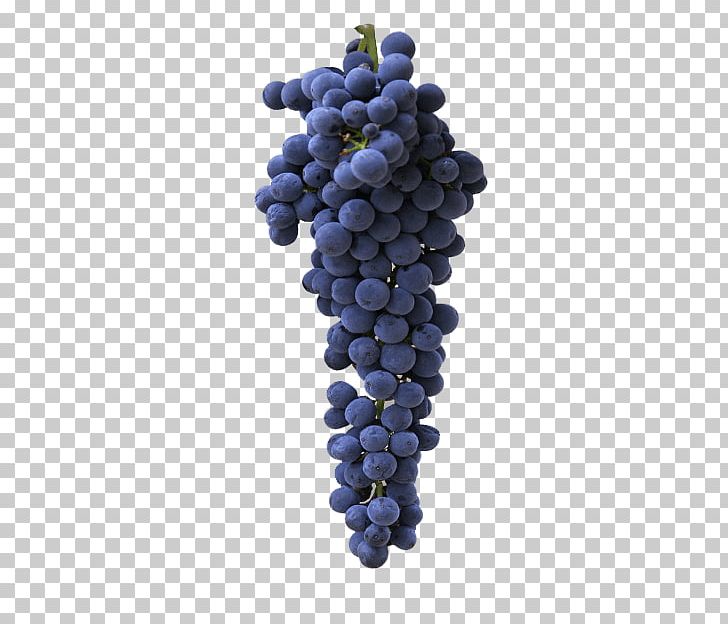 Cabernet Franc White Wine Cabernet Sauvignon Shiraz Sauvignon Blanc PNG, Clipart, Cabernet Franc, Cabernet Sauvignon, Chardonnay, Common Grape Vine, Flowering Plant Free PNG Download