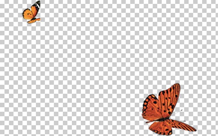 Monarch Butterfly Moth PNG, Clipart, Beauty, Brush Footed Butterfly, Encapsulated Postscript, Fauna, Flying Free PNG Download