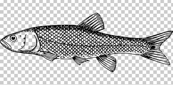 Milkfish Fish Scale PNG, Clipart, Animal Figure, Animals, Black And White, Clip Art, Drawing Free PNG Download