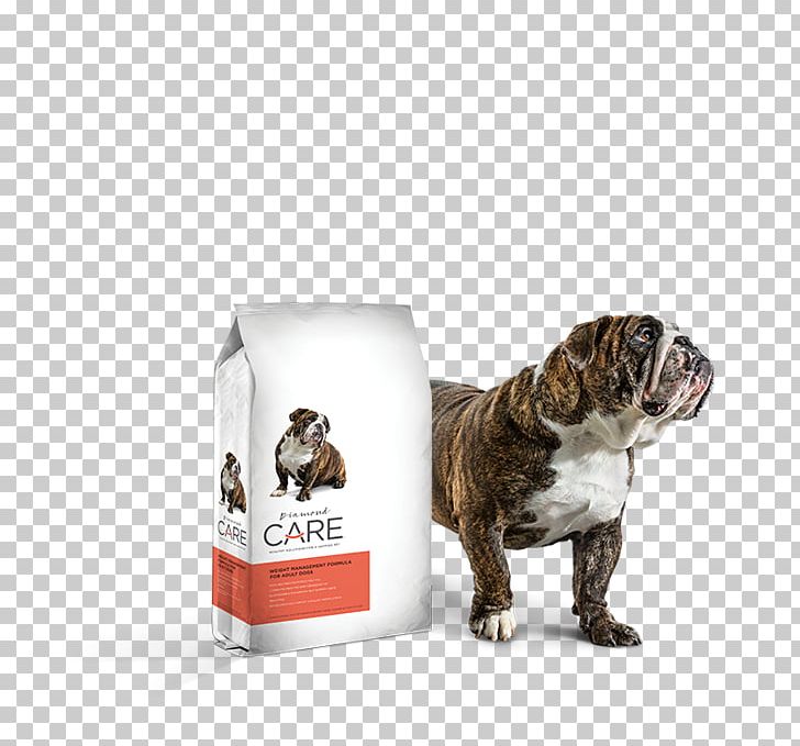 Dog Breed Bulldog Cat Dog Food Dog Chow PNG, Clipart, Animals, Axton Virginia, Beneful, Breed, Bulldog Free PNG Download