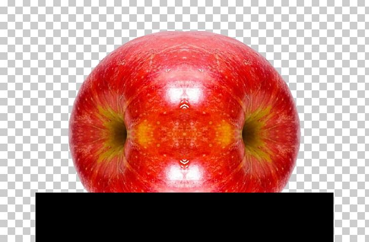 Apple Animation PNG, Clipart, Animation, Apple, Apple Fruit, Apple Logo, Apple Tree Free PNG Download