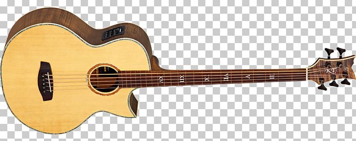 Musical Instruments Bass Guitar Acoustic Guitar String Instruments PNG, Clipart, Acoustic Bass Guitar, Cuatro, Guitar Accessory, Musical Instrument Accessory, Musical Instruments Free PNG Download