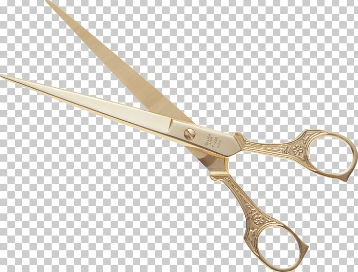 Scissors Hair-cutting Shears PNG, Clipart, Business, College, Computer Icons, Download, Encapsulated Postscript Free PNG Download