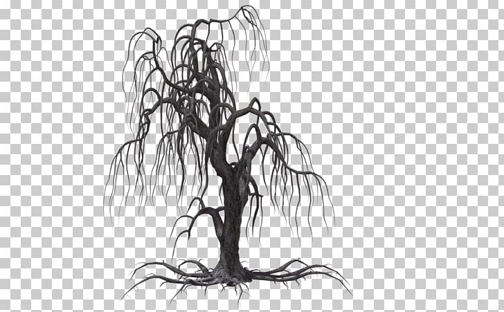 Tree Weeping Willow Drawing PNG, Clipart, Artwork, Black And White, Branch, Brush, Clip Art Free PNG Download