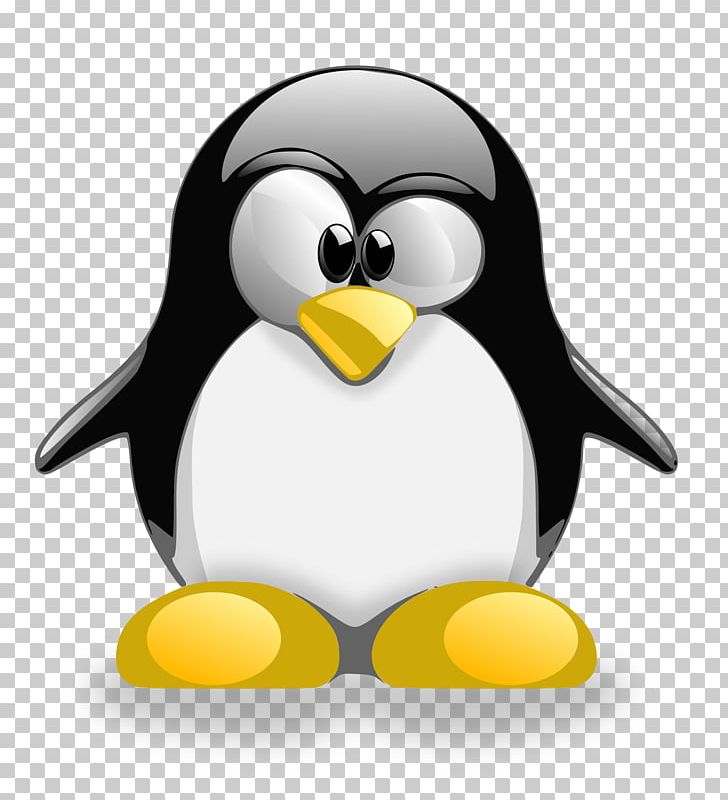 Tux Racer Penguin Linux Distribution PNG, Clipart, Andatuz, Beak, Bird, Computer Icons, Flightless Bird Free PNG Download