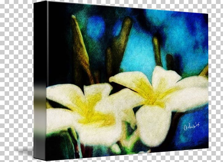 Petal Floristry Modern Art Flowering Plant PNG, Clipart, Art, Flora, Floristry, Flower, Flowering Plant Free PNG Download