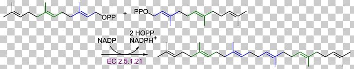 Squalene Carotene Lycopene Carotenoid Terpene PNG, Clipart, Angle, Betacarotene, Blue, Brand, Carotene Free PNG Download