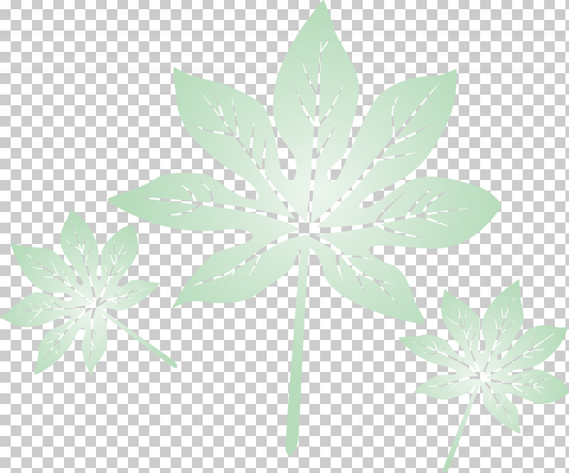 Leaf PNG, Clipart, Biology, Flower, Green, Leaf, Petal Free PNG Download