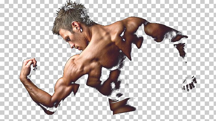 Dietary Supplement Bodybuilding Anabolic Steroid Muscle Exercise PNG, Clipart, Abdomen, Aggression, Anabolic Steroid, Anabolism, Arm Free PNG Download