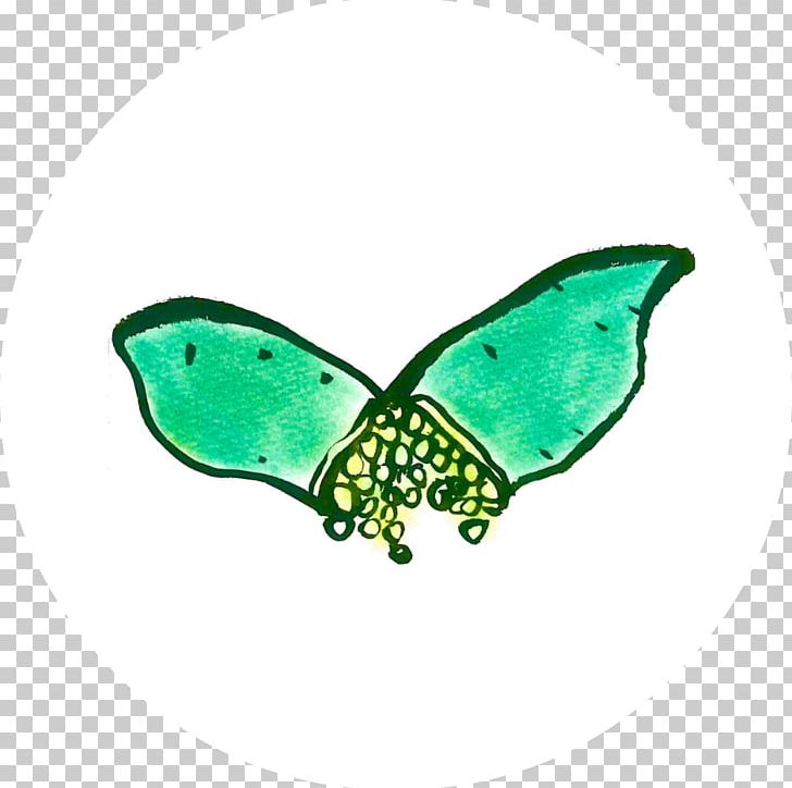 Butterfly 2M Butterflies And Moths PNG, Clipart, Butterflies And Moths, Butterfly, Insect, Insects, Invertebrate Free PNG Download