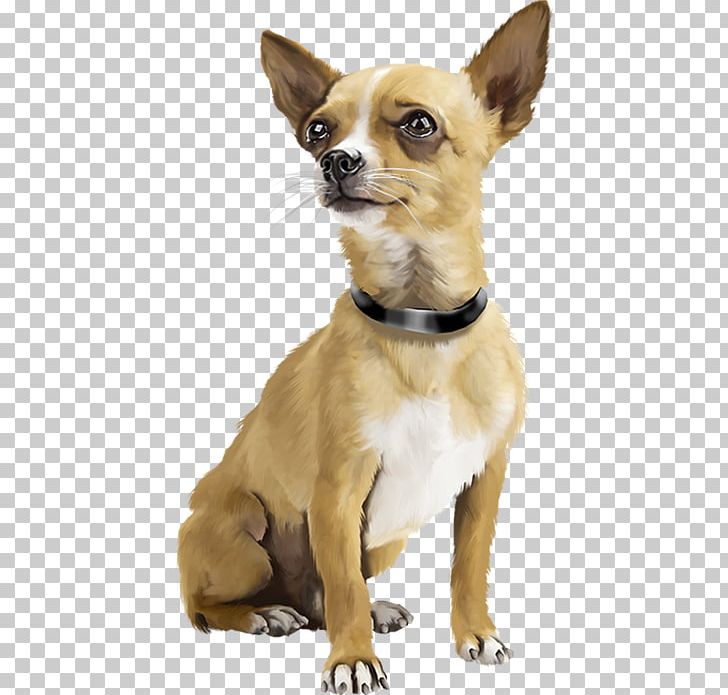 Chihuahua Puppy Dogs Active Miniature Pinscher Bark PNG, Clipart, Active, Animals, Arama, Cari, Carnivoran Free PNG Download