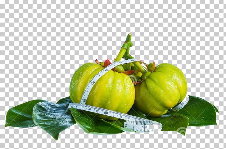 Dietary Supplement Garcinia Gummi-gutta Hydroxycitric Acid Weight Loss Health PNG, Clipart, Adverse Effect, Anorectic, Bell Pepper, Citrus, Food Free PNG Download