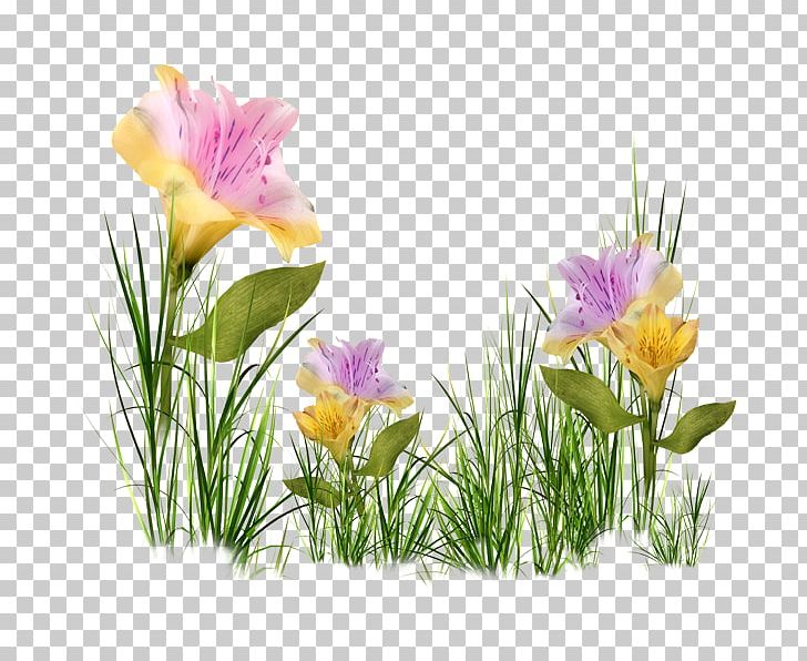 Easter Bunny Dress Code Clothing PNG, Clipart, Annual Plant, Bride, Clothing, Crocus, Cut Flowers Free PNG Download