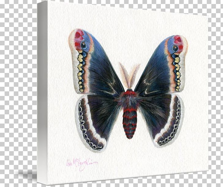 Moth PNG, Clipart, Butterfly, Insect, Invertebrate, Moth, Moths And Butterflies Free PNG Download