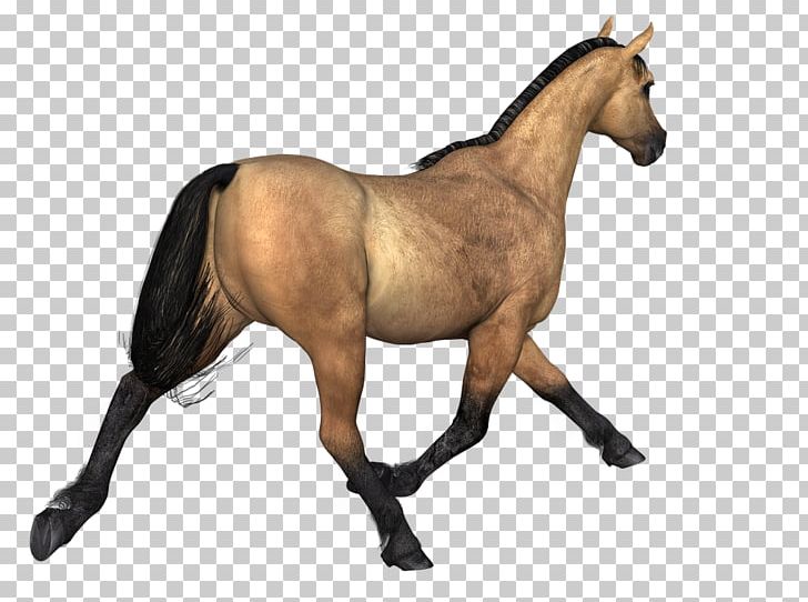 Mustang PNG, Clipart, Animal 3d, Animal Figure, Bridle, Colt, Computer Icons Free PNG Download