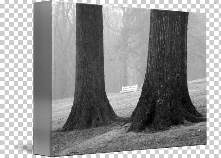 Wood Stock Photography /m/083vt PNG, Clipart, Black And White, M083vt, Monochrome, Monochrome Photography, Nature Free PNG Download