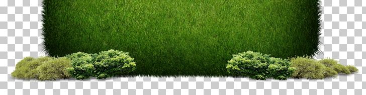 Grass Green PNG, Clipart, Artificial Grass, Background, Cartoon Grass, Color, Creative Grass Free PNG Download