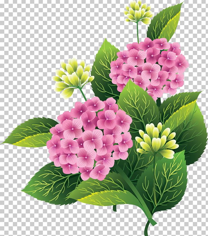 Pink Flowers Silhouette PNG, Clipart, Clip Art, Cornales, Cut Flowers, Flower, Flowering Plant Free PNG Download